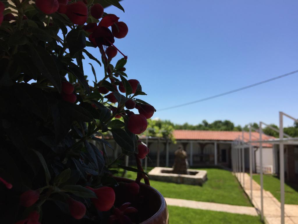 Motel Kiwi Grude Экстерьер фото